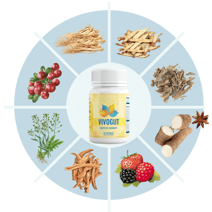 Visual representation of VivoGut’s key benefits for gut health and digestion.